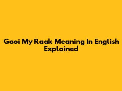 'Gooi My Raak' Meaning In English Explained