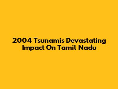2004 Tsunami's Devastating Impact On Tamil Nadu
