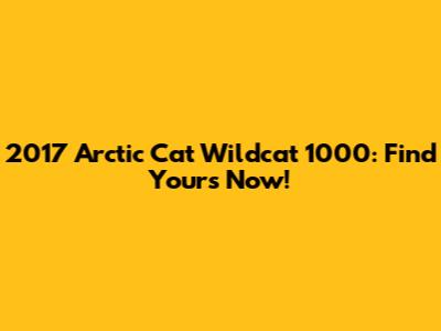 2017 Arctic Cat Wildcat 1000: Find Yours Now!