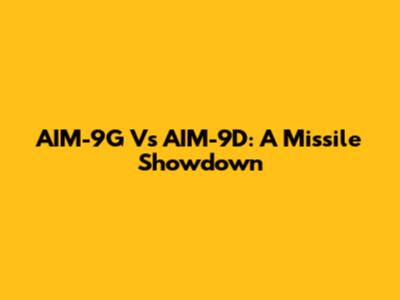 AIM-9G Vs AIM-9D: A Missile Showdown