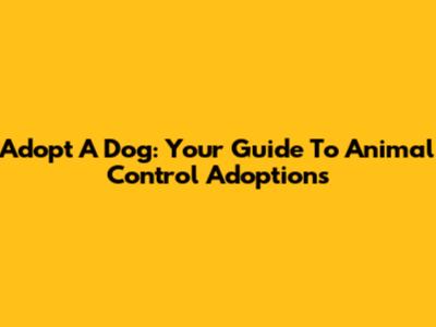 Adopt A Dog: Your Guide To Animal Control Adoptions