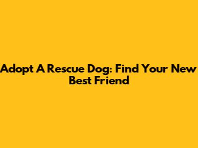Adopt A Rescue Dog: Find Your New Best Friend