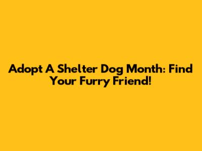 Adopt A Shelter Dog Month: Find Your Furry Friend!