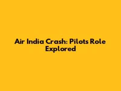 Air India Crash: Pilot's Role Explored