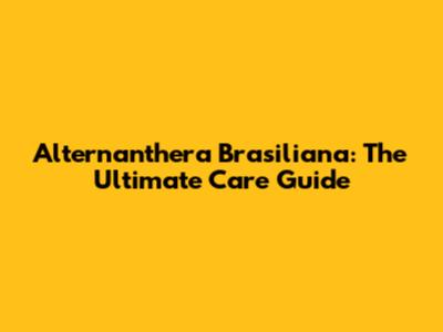 Alternanthera Brasiliana: The Ultimate Care Guide