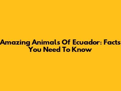 Amazing Animals Of Ecuador: Facts You Need To Know