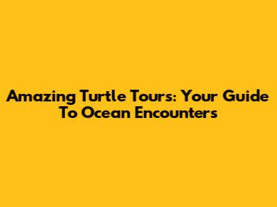 Amazing Turtle Tours: Your Guide To Ocean Encounters