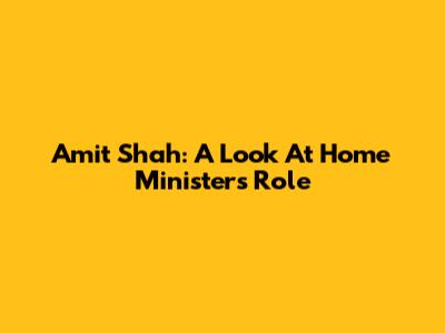 Amit Shah: A Look At Home Minister's Role