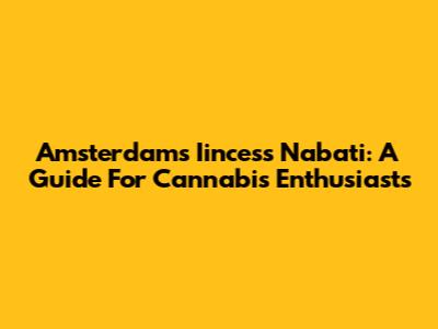 Amsterdam's Iincess Nabati: A Guide For Cannabis Enthusiasts