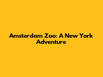 Amsterdam Zoo: A New York Adventure
