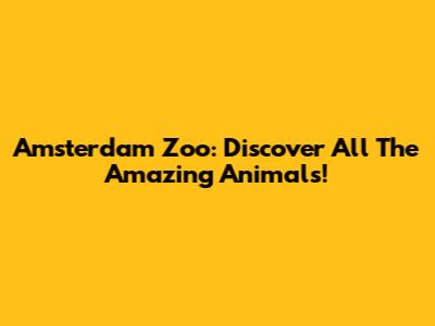 Amsterdam Zoo: Discover All The Amazing Animals!