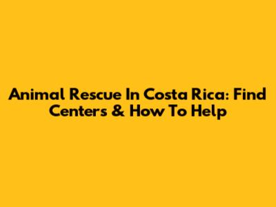 Animal Rescue In Costa Rica: Find Centers & How To Help