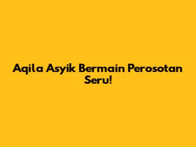 Aqila Asyik Bermain Perosotan Seru!