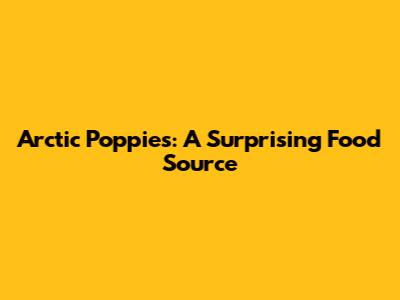 Arctic Poppies: A Surprising Food Source