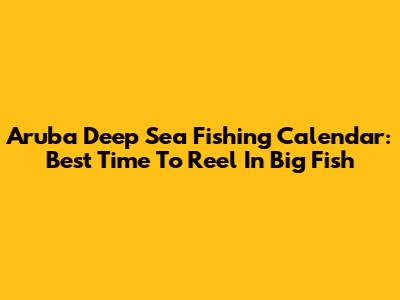 Aruba Deep Sea Fishing Calendar: Best Time To Reel In Big Fish