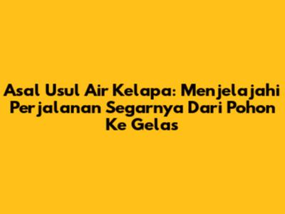 Asal Usul Air Kelapa: Menjelajahi Perjalanan Segarnya Dari Pohon Ke Gelas