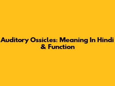 Auditory Ossicles: Meaning In Hindi & Function