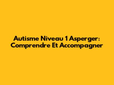 Autisme Niveau 1 Asperger: Comprendre Et Accompagner