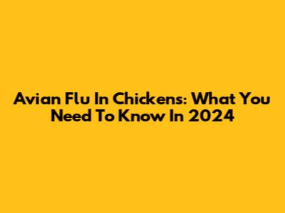 Avian Flu In Chickens: What You Need To Know In 2024