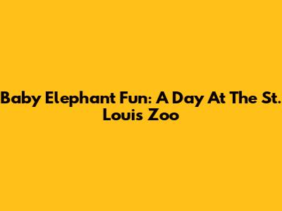 Baby Elephant Fun: A Day At The St. Louis Zoo