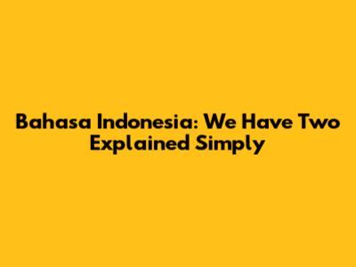 Bahasa Indonesia: 'We Have Two' Explained Simply