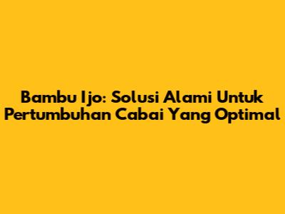 Bambu Ijo: Solusi Alami Untuk Pertumbuhan Cabai Yang Optimal