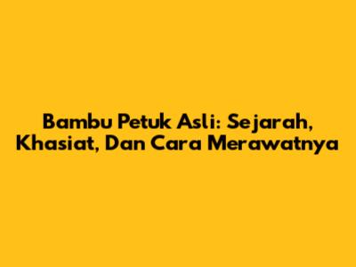 Bambu Petuk Asli: Sejarah, Khasiat, Dan Cara Merawatnya