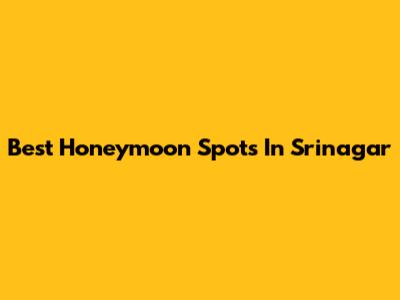 Best Honeymoon Spots In Srinagar