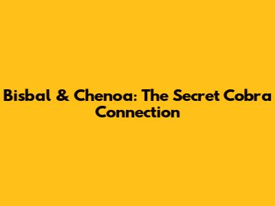 Bisbal & Chenoa: The Secret Cobra Connection