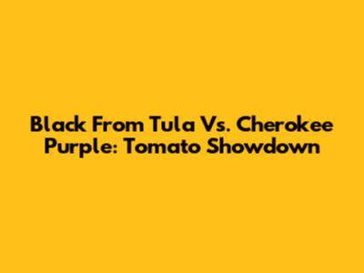 Black From Tula Vs. Cherokee Purple: Tomato Showdown