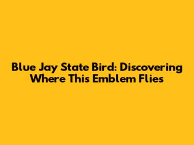 Blue Jay State Bird: Discovering Where This Emblem Flies