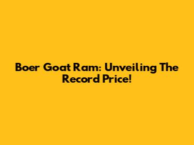 Boer Goat Ram: Unveiling The Record Price!