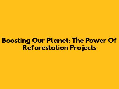 Boosting Our Planet: The Power Of Reforestation Projects