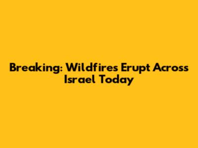 Breaking: Wildfires Erupt Across Israel Today