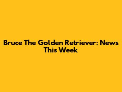 Bruce The Golden Retriever: News This Week