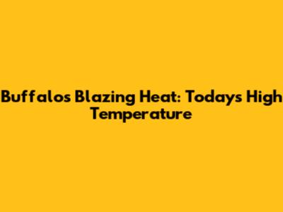 Buffalo's Blazing Heat: Today's High Temperature