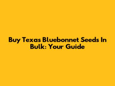 Buy Texas Bluebonnet Seeds In Bulk: Your Guide