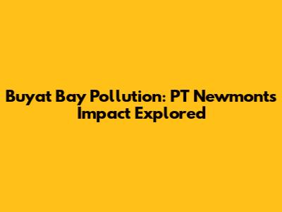 Buyat Bay Pollution: PT Newmont's Impact Explored