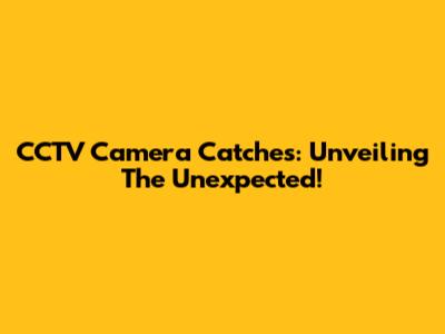 CCTV Camera Catches: Unveiling The Unexpected!