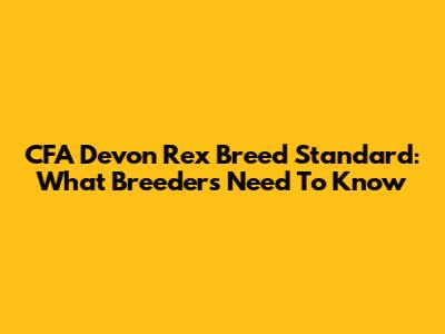 CFA Devon Rex Breed Standard: What Breeders Need To Know