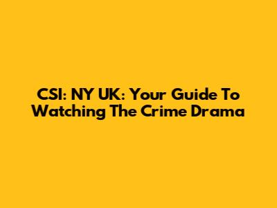 CSI: NY UK: Your Guide To Watching The Crime Drama