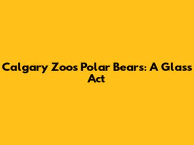 Calgary Zoo's Polar Bears: A Glass Act