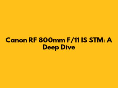 Canon RF 800mm F/11 IS STM: A Deep Dive