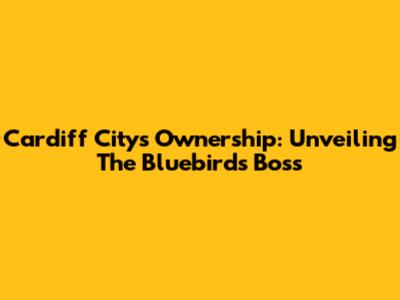 Cardiff City's Ownership: Unveiling The Bluebirds' Boss