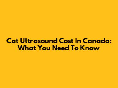 Cat Ultrasound Cost In Canada: What You Need To Know