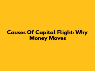 Causes Of Capital Flight: Why Money Moves
