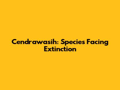 Cendrawasih: Species Facing Extinction