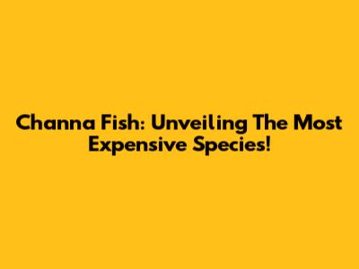 Channa Fish: Unveiling The Most Expensive Species!
