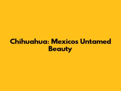 Chihuahua: Mexico's Untamed Beauty