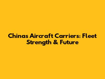 China's Aircraft Carriers: Fleet Strength & Future